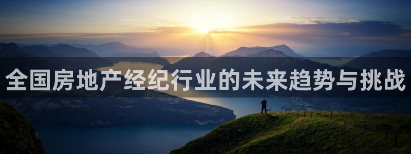 新宝5公司：全国房地产经纪行业的未来趋势与挑战