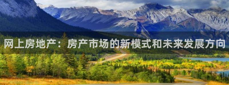 新宝5找找74OOO5：网上房地产：房产市场的新模式和未来发