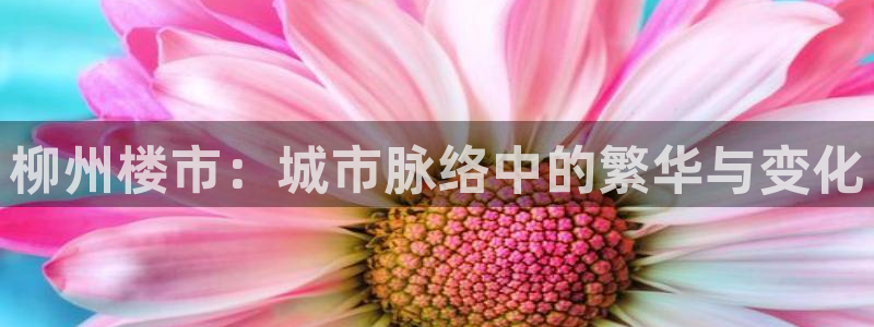 新宝5手机版登录：柳州楼市：城市脉络中的繁华与变化