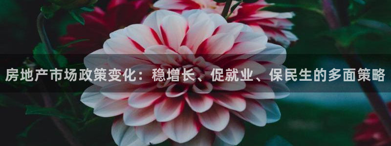 新宝5蒋74OOO5：房地产市场政策变化：稳增长、促就业、保