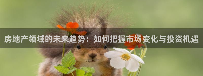 新宝5寻33 300球：房地产领域的未来趋势：如何把握市场变