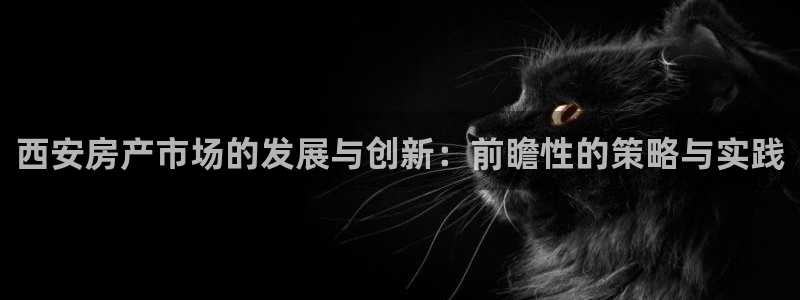 新宝5娱乐招商：西安房产市场的发展与创新：前瞻性的策略与实践