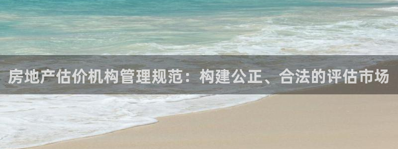 新宝5招商部：房地产估价机构管理规范：构建公正、合法的评估市