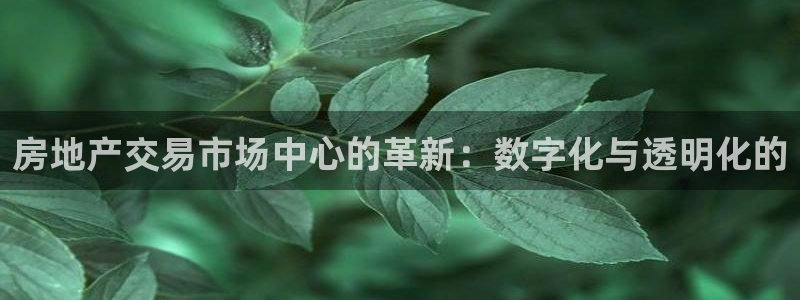 新宝5得74OOO5：房地产交易市场中心的革新：数字化与透明