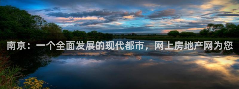 新宝5招商：南京：一个全面发展的现代都市，网上房地产网为您