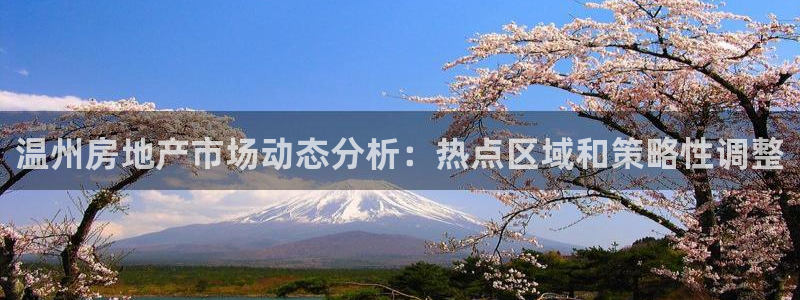 新宝5下载：温州房地产市场动态分析：热点区域和策略性调整
