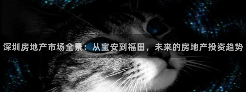 新宝5黑：深圳房地产市场全景：从宝安到福田，未来的房地产投资