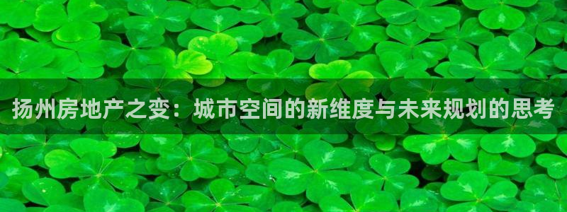 新宝5网址：扬州房地产之变：城市空间的新维度与未来规划的思考