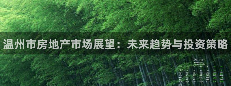 新宝5平台注册公司：温州市房地产市场展望：未来趋势与投资策略