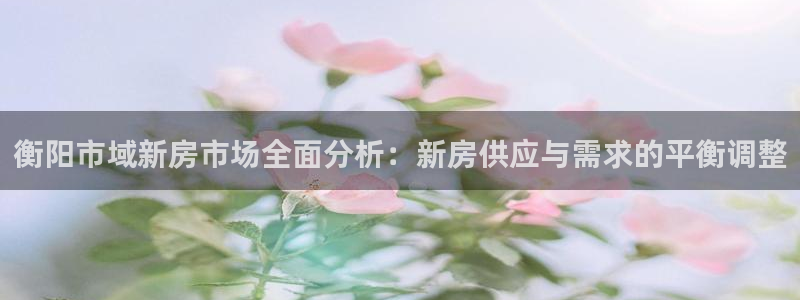 新宝5总代：衡阳市域新房市场全面分析：新房供应与需求的平衡调