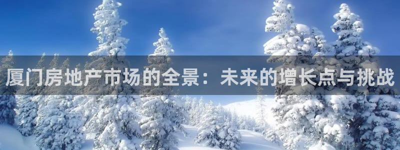 新宝5手机平台登陆：厦门房地产市场的全景：未来的增长点与挑战
