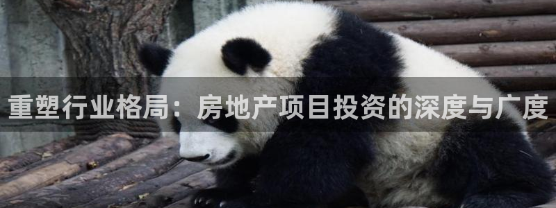 新宝5吴74OOO5：重塑行业格局：房地产项目投资的深度与广