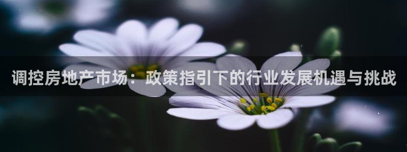 新宝G5：调控房地产市场：政策指引下的行业发展机遇与挑战
