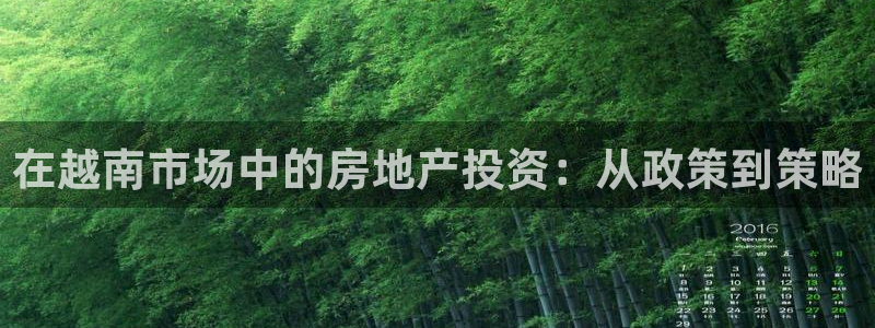 新宝5网：在越南市场中的房地产投资：从政策到策略
