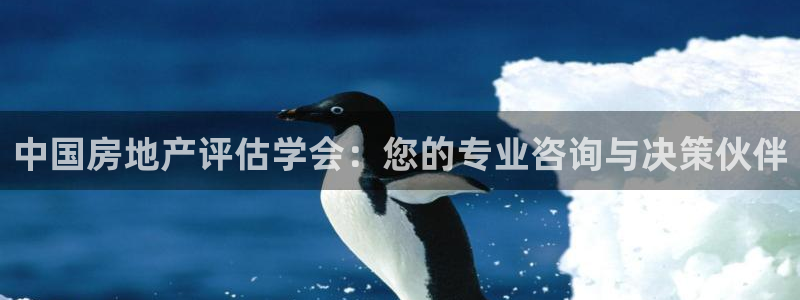 新宝5褚74OOO5：中国房地产评估学会：您的专业咨询与决策