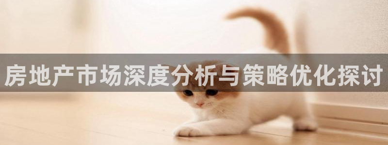 新宝5注册：房地产市场深度分析与策略优化探讨