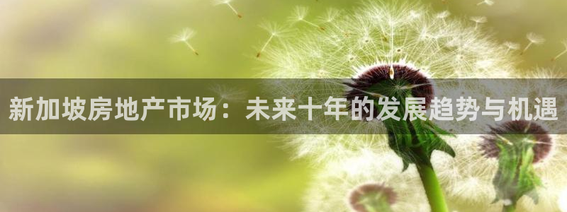 新宝5测速登陆：新加坡房地产市场：未来十年的发展趋势与机遇