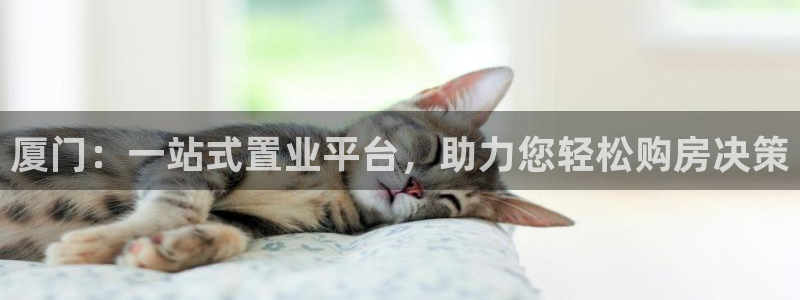 新宝5彩票娱乐平台：厦门：一站式置业平台，助力您轻松购房决策