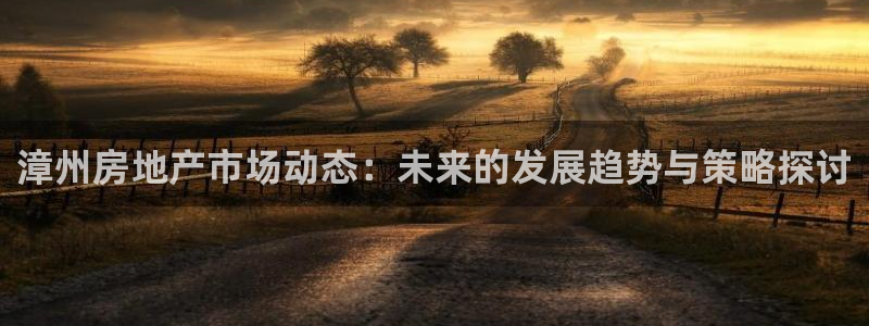新宝那2O5O5O：漳州房地产市场动态：未来的发展趋势与策略