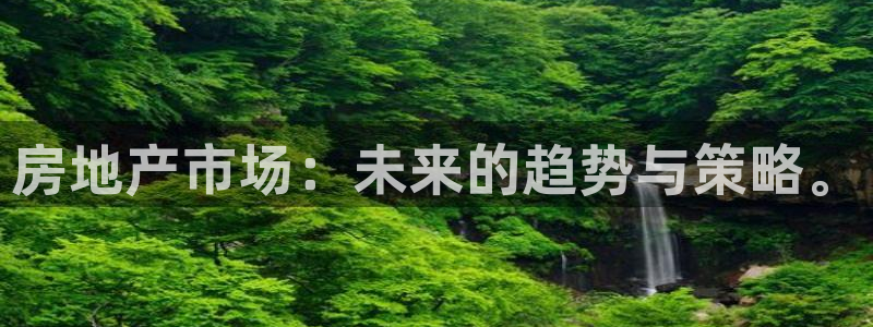 新宝5是谁：房地产市场：未来的趋势与策略。