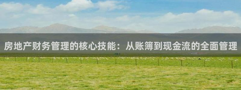 新宝5测速：房地产财务管理的核心技能：从账簿到现金流的全面管
