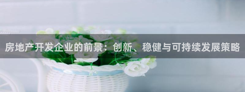 新宝5注册链接：房地产开发企业的前景：创新、稳健与可持续发展