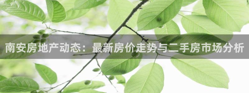 新宝5平台登录：南安房地产动态：最新房价走势与二手房市场分析
