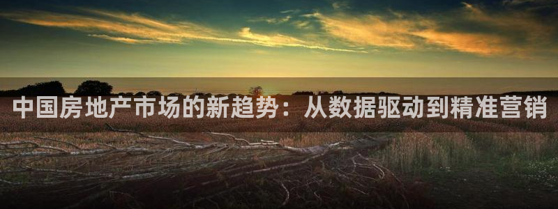 新宝5官网平台：中国房地产市场的新趋势：从数据驱动到精准营销