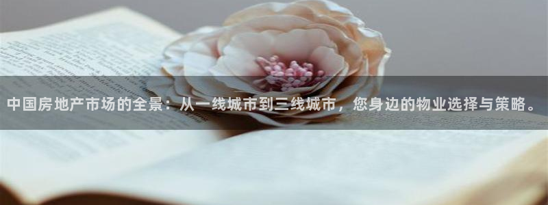 新宝5为啥开：中国房地产市场的全景：从一线城市到三线城市，您