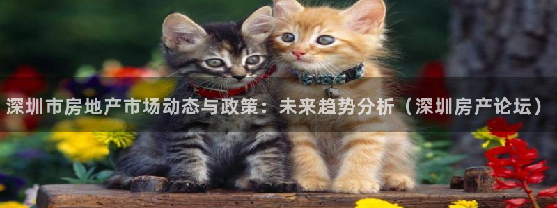 新宝5娱乐如：深圳市房地产市场动态与政策：未来趋势分析（深圳