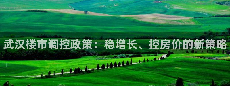 新宝5app手机下载：武汉楼市调控政策：稳增长、控房价的新策