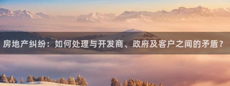 新宝5玩法：房地产纠纷：如何处理与开发商、政府及客户之间的矛