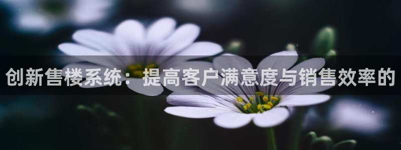 新宝5内部：创新售楼系统：提高客户满意度与销售效率的