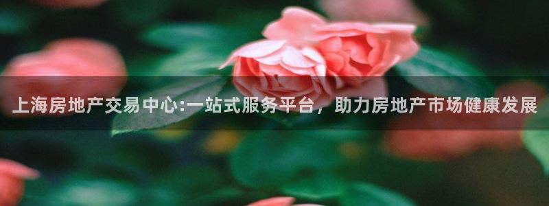 新宝新5：上海房地产交易中心:一站式服务平台，助力房地产市场