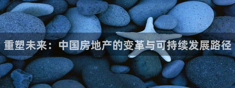 新宝5官方：重塑未来：中国房地产的变革与可持续发展路径
