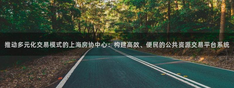 新宝5娱乐代理：推动多元化交易模式的上海房协中心：构建高效、