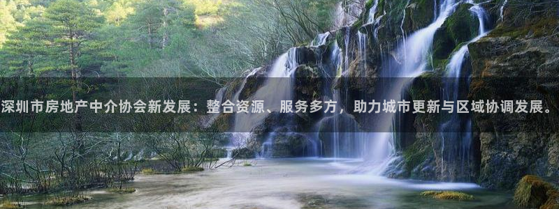 新宝5官方网站：深圳市房地产中介协会新发展：整合资源、服务多
