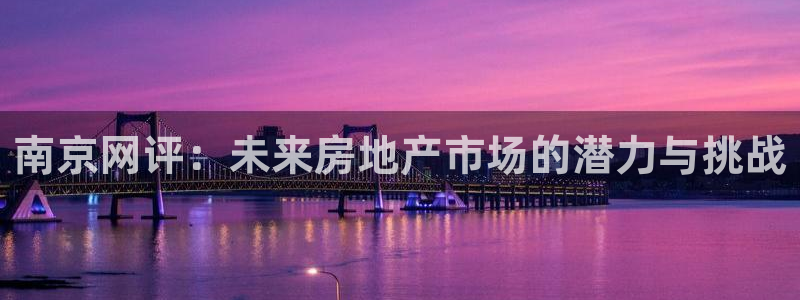 新5宝：南京网评：未来房地产市场的潜力与挑战