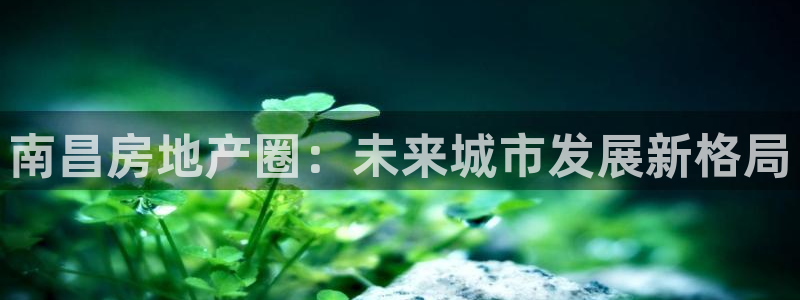新宝5分彩：南昌房地产圈：未来城市发展新格局