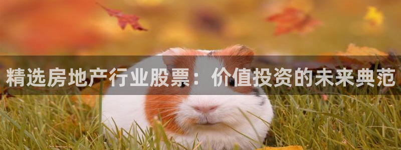 新宝5娱乐招商：精选房地产行业股票：价值投资的未来典范