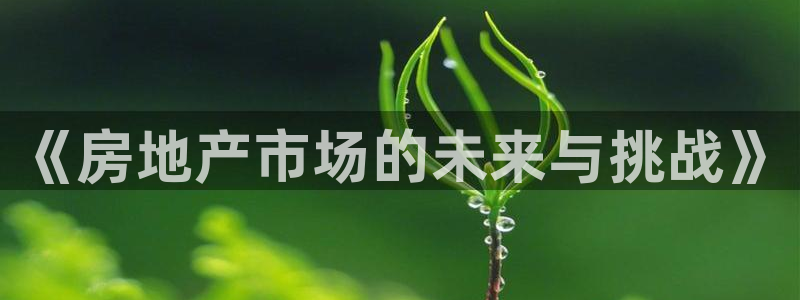 新宝股东王听2 5 5：《房地产市场的未来与挑战》