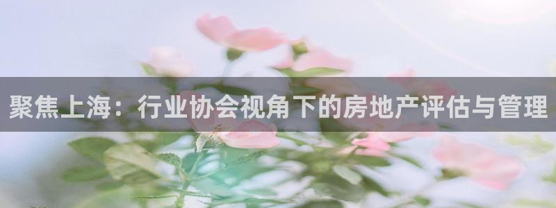 新宝5王问74OOO5：聚焦上海：行业协会视角下的房地产评估
