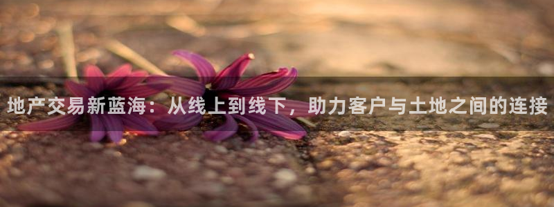新宝5可靠吗：地产交易新蓝海：从线上到线下，助力客户与土地之