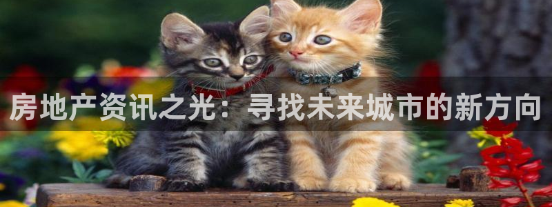 新宝5安卓版：房地产资讯之光：寻找未来城市的新方向