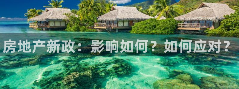 新宝5娱乐经：房地产新政：影响如何？如何应对？