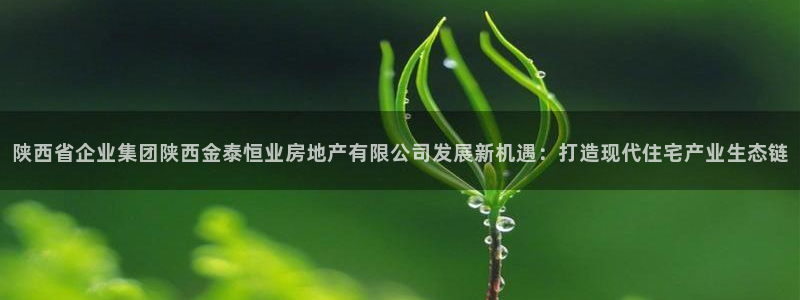 新宝注5册：陕西省企业集团陕西金泰恒业房地产有限公司发展新机