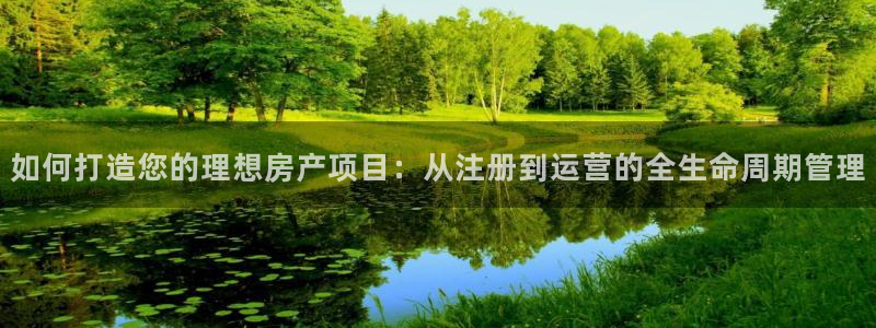 新宝5是什么样子的：如何打造您的理想房产项目：从注册到运营的