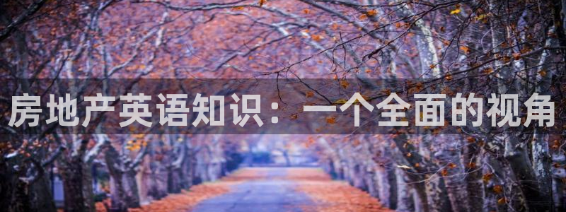 新5宝：房地产英语知识：一个全面的视角