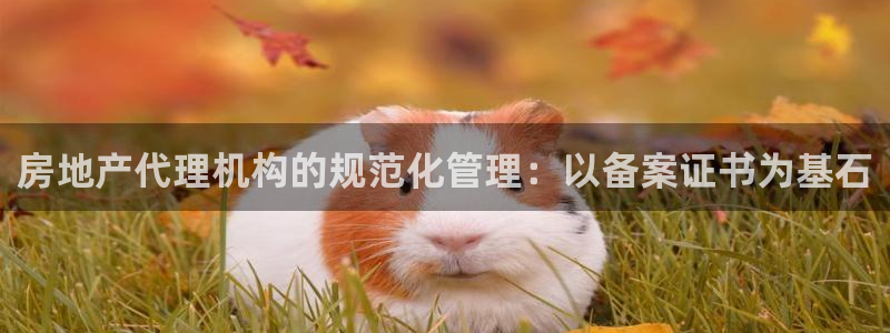 新宝5巅峰：房地产代理机构的规范化管理：以备案证书为基石