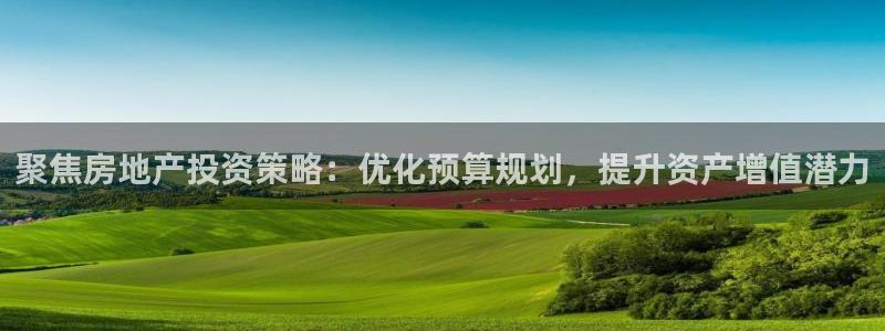 新宝5台卡：聚焦房地产投资策略：优化预算规划，提升资产增值潜